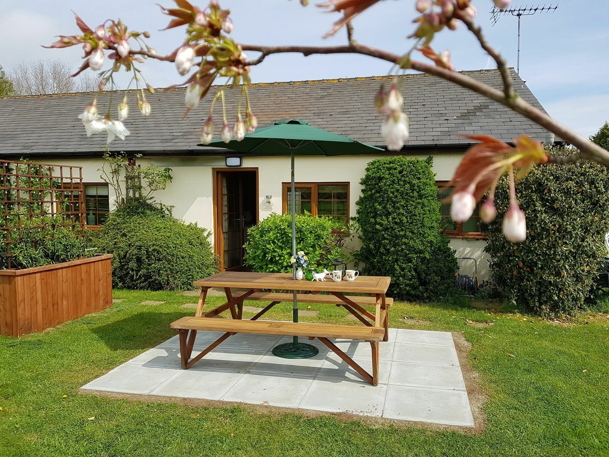 קנטרבורי Hawthorn Farm Cottages מראה חיצוני תמונה